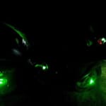 led-fuldtank-6