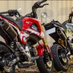 honda-detailed-grom-undertail-9