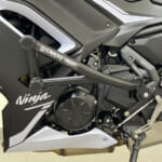 crazy_iron_zawita_race_rail_kawasaki_ninja_650_20-_3